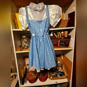 Wizard of Oz Dorothy costume